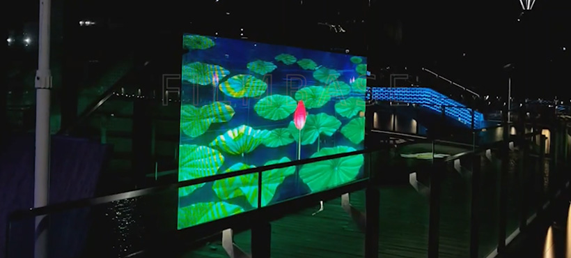 Ninbo East Lake bog‘i