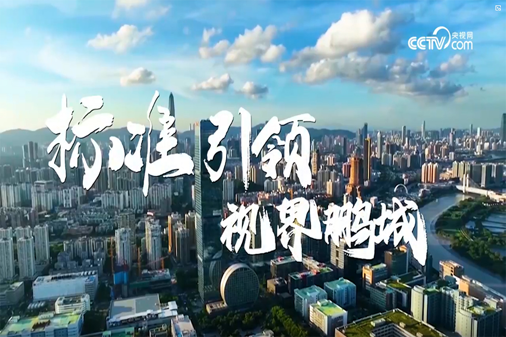 CCTV.com Shenchjendagi ultra yuqori aniqlikdagi displey sanoatini yoritdi, FILMBASE shaffof displeylari eʼtibor markazida